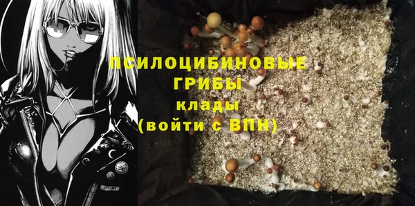 ECSTASY Дмитров