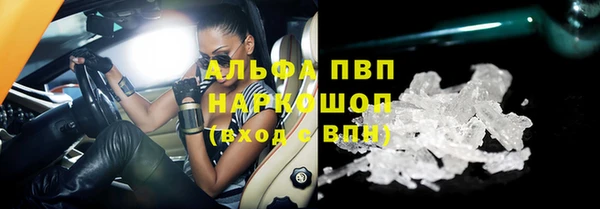 ECSTASY Дмитров
