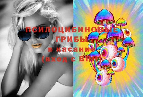 соль ск Дмитровск