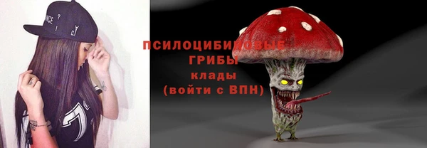 соль ск Дмитровск